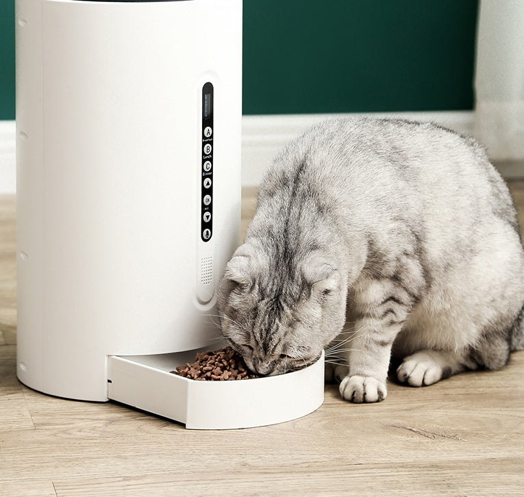 SmartBowl Auto Feeder — Peace of Mind in Every Meal