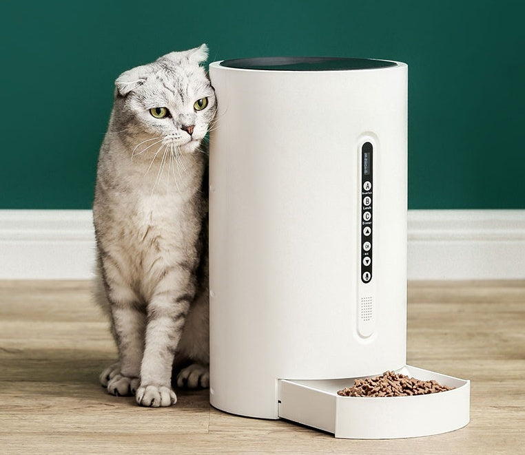 SmartBowl Auto Feeder — Peace of Mind in Every Meal