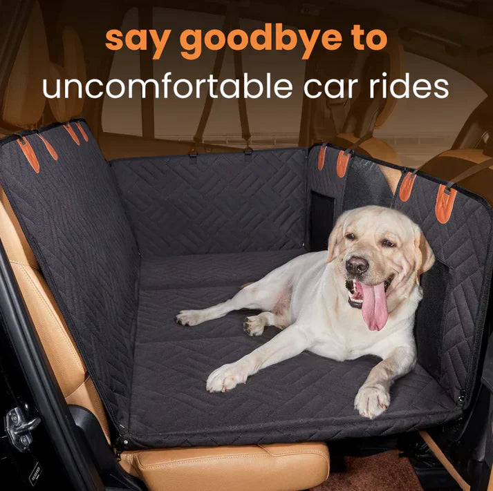 RideBuddy Shield — Drive Proud, Stay Mess-Free