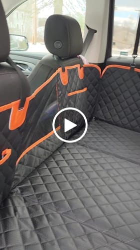 RideBuddy Shield — Drive Proud, Stay Mess-Free