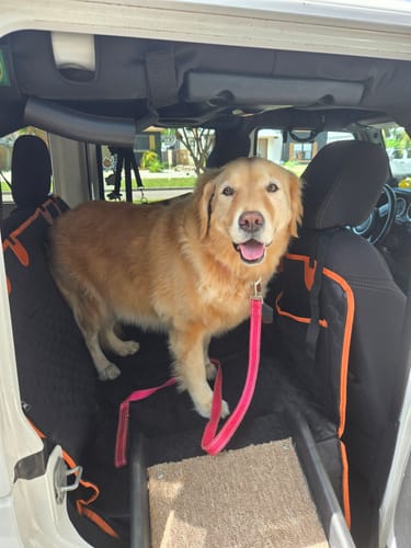 RideBuddy Shield — Drive Proud, Stay Mess-Free